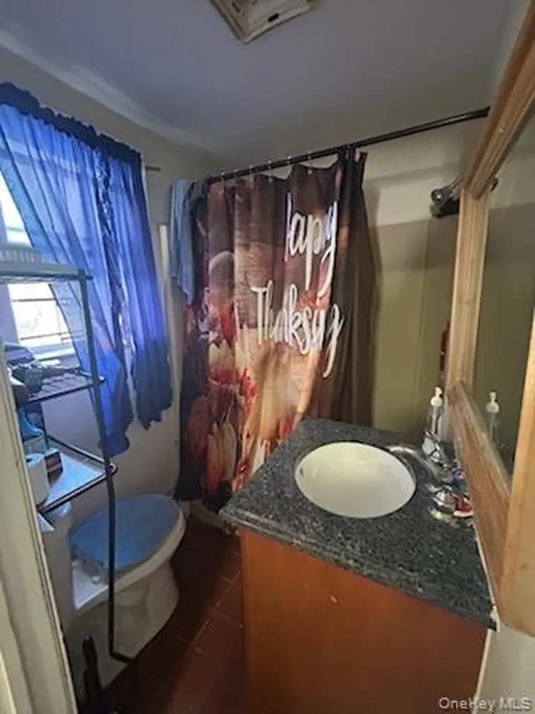 6 Hendrickson Avenue Elmont NY 11003