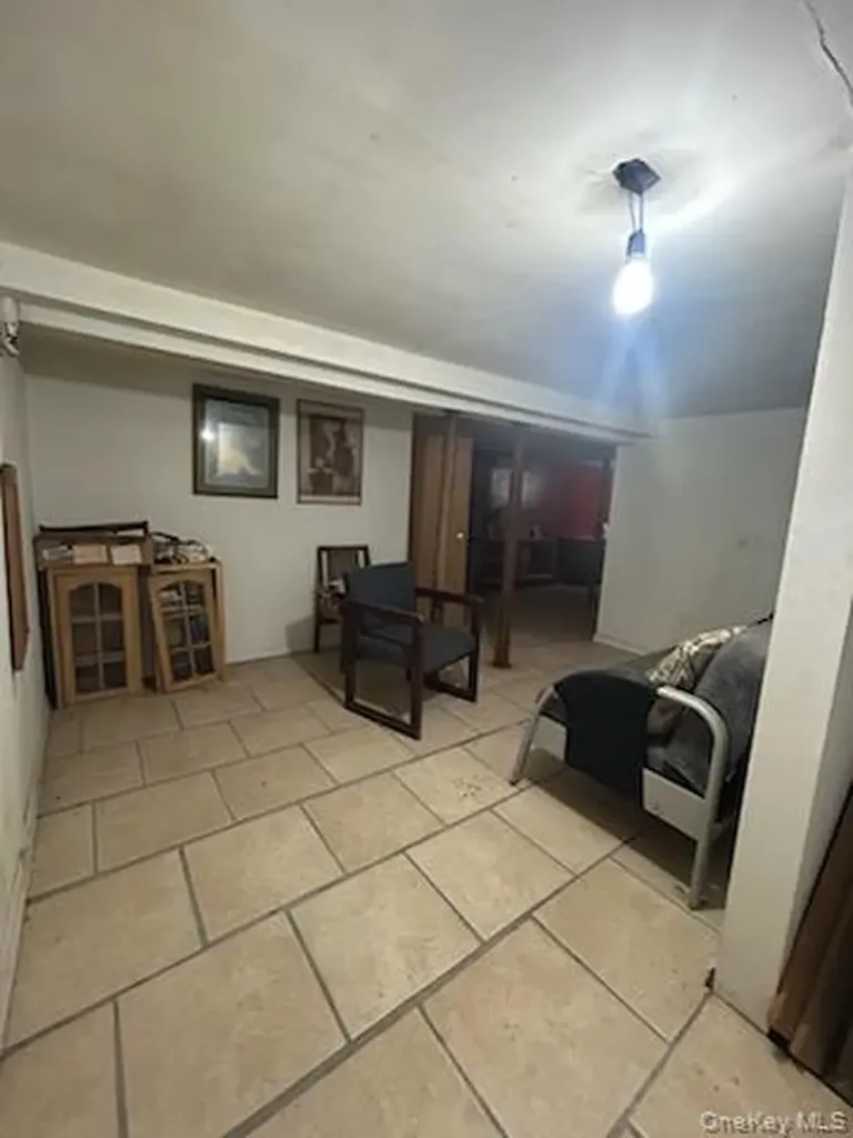 6 Hendrickson Avenue Elmont NY 11003