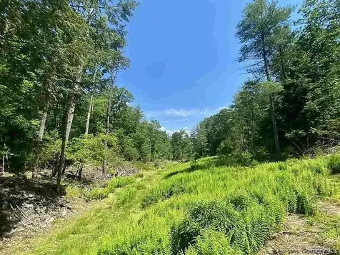 Tbd Mulberry Lane Kingston NY 12498
