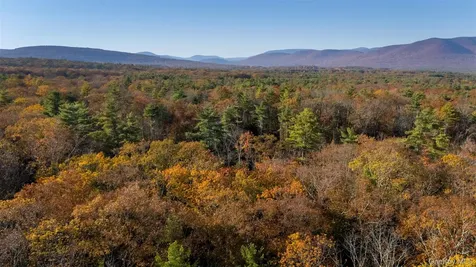 Tbd Mulberry Lane Kingston NY 12498