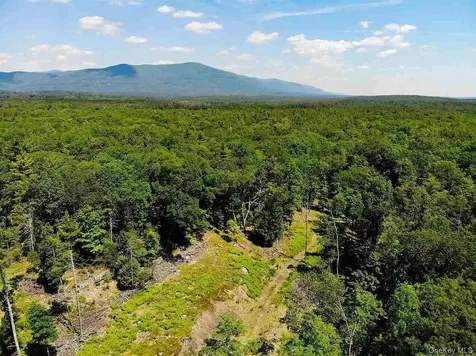 Tbd Mulberry Lane Kingston NY 12498