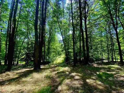 Tbd Mulberry Lane Kingston NY 12498