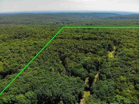 Tbd Mulberry Lane Kingston NY 12498