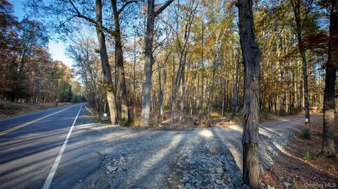 Tbd Mulberry Lane Kingston NY 12498