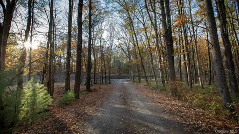 Tbd Mulberry Lane Kingston NY 12498