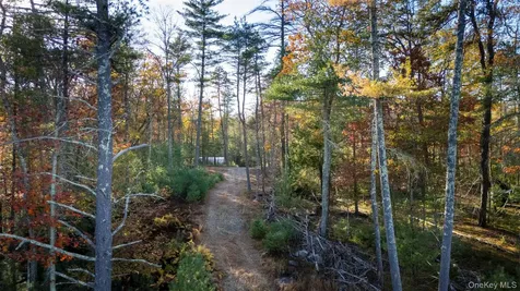 Tbd Mulberry Lane Kingston NY 12498