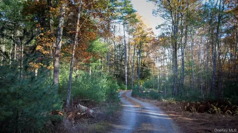 Tbd Mulberry Lane Kingston NY 12498