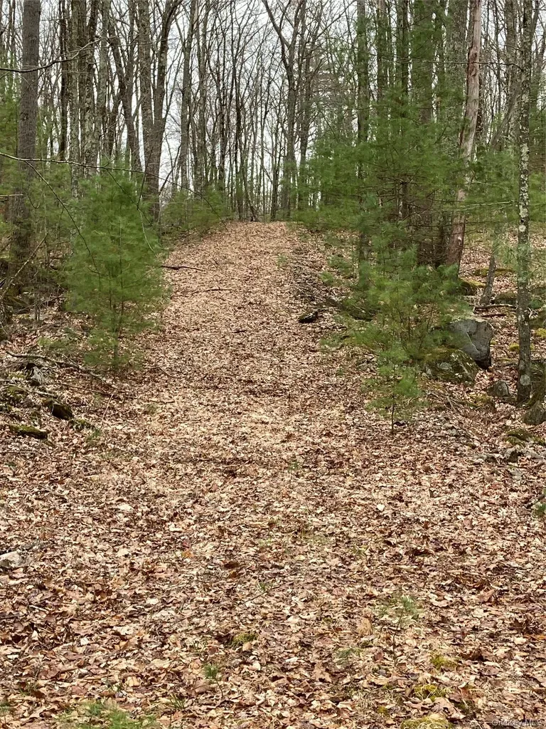 Plank Road Forestburgh NY 12777