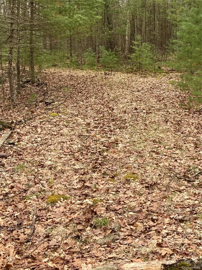 Plank Road Forestburgh NY 12777