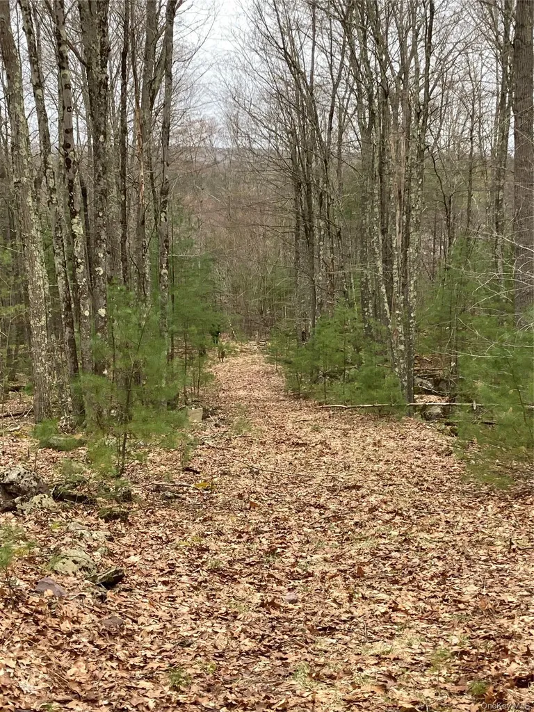 Plank Road Forestburgh NY 12777