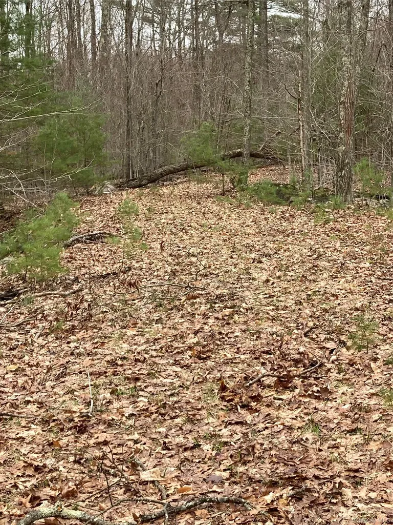 Plank Road Forestburgh NY 12777