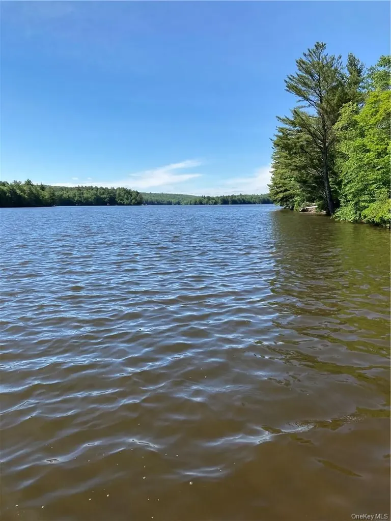 Plank Road Forestburgh NY 12777
