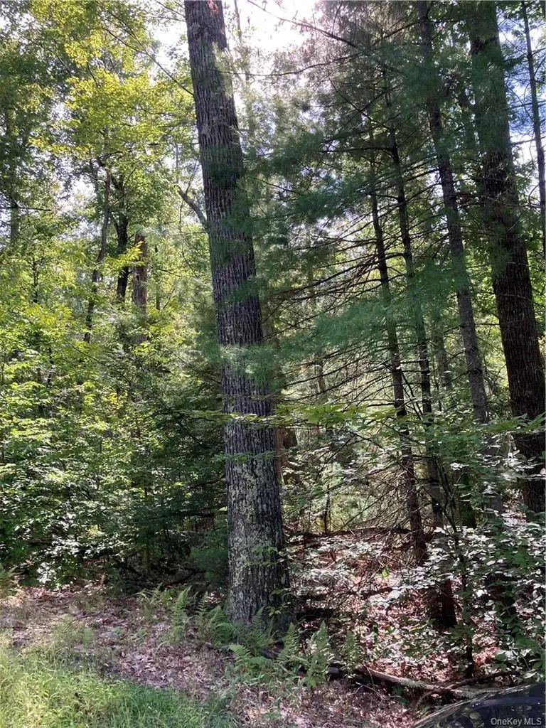 Plank Road Forestburgh NY 12777