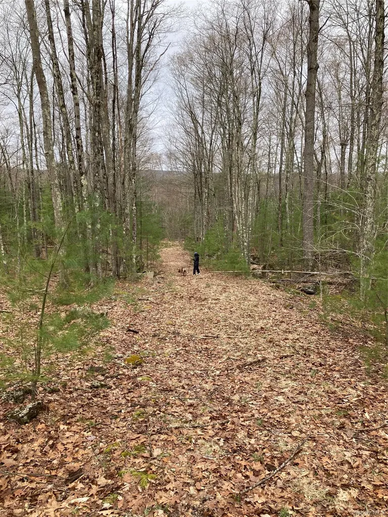 Plank Road Forestburgh NY 12777