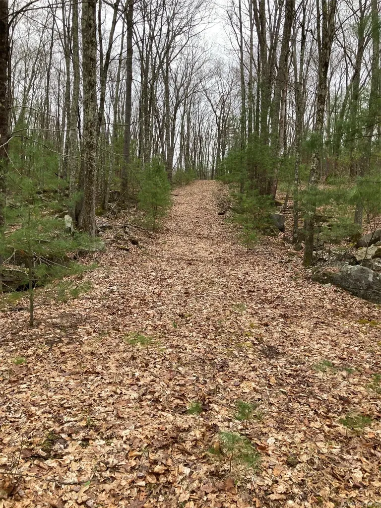 Plank Road Forestburgh NY 12777