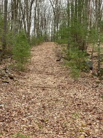 Plank Road Forestburgh NY 12777