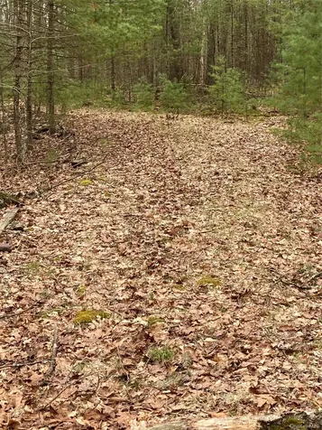 Plank Road Forestburgh NY 12777