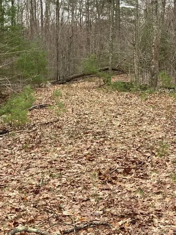 Plank Road Forestburgh NY 12777