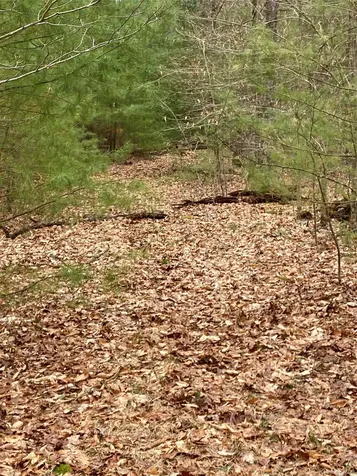 Plank Road Forestburgh NY 12777