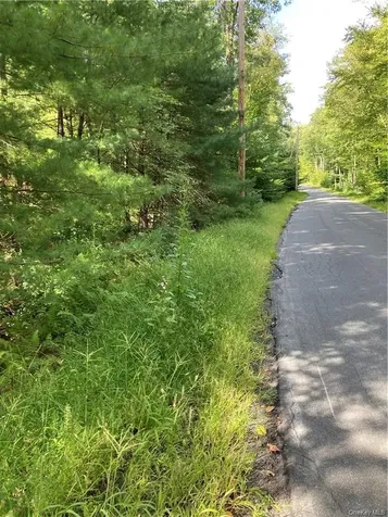 Plank Road Forestburgh NY 12777