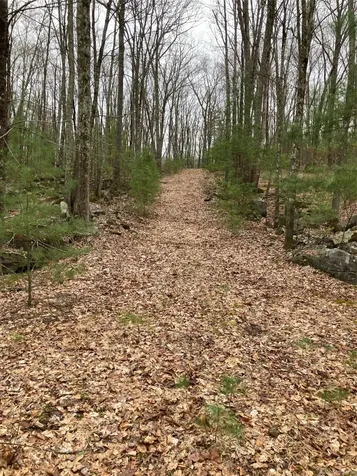 Plank Road Forestburgh NY 12777