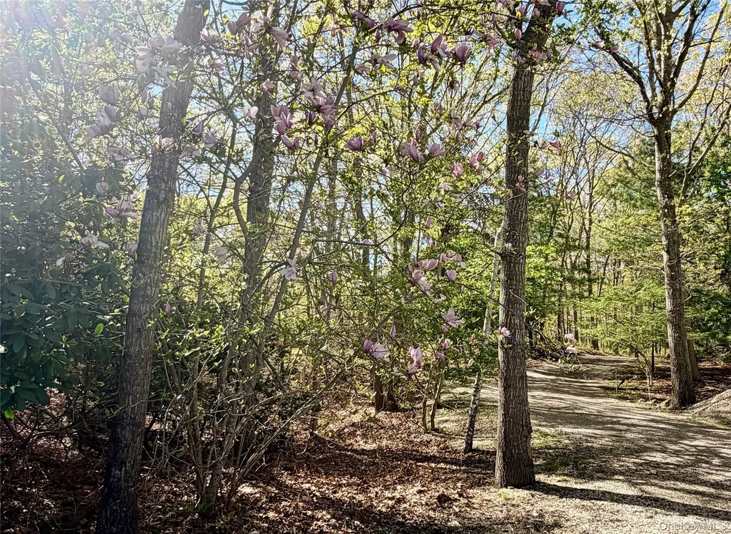 43B Old Squires Road Hampton Bays NY 11946