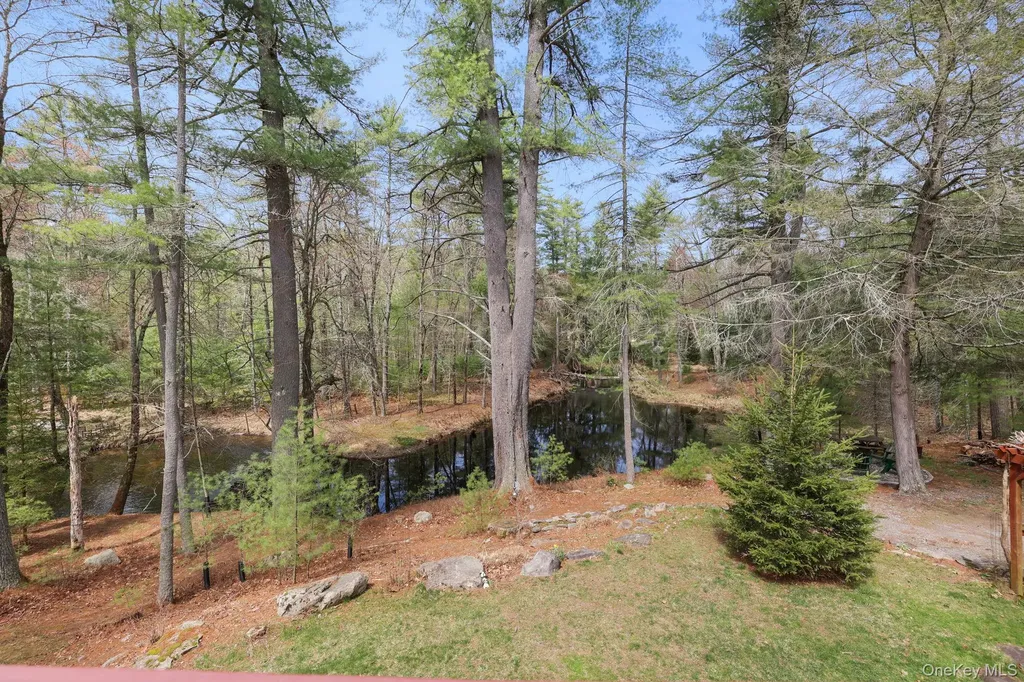 20 Reber Road Eldred NY 12732