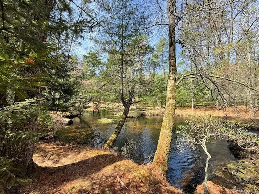 20 Reber Road Eldred NY 12732