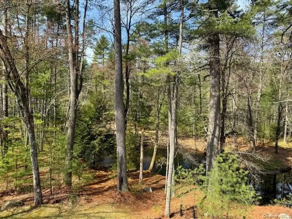 20 Reber Road Eldred NY 12732