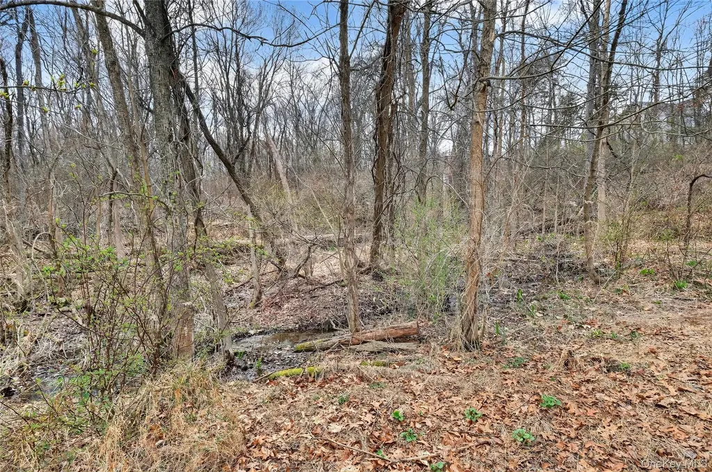 30 Meadowood Lane Wappingers Falls NY 12590