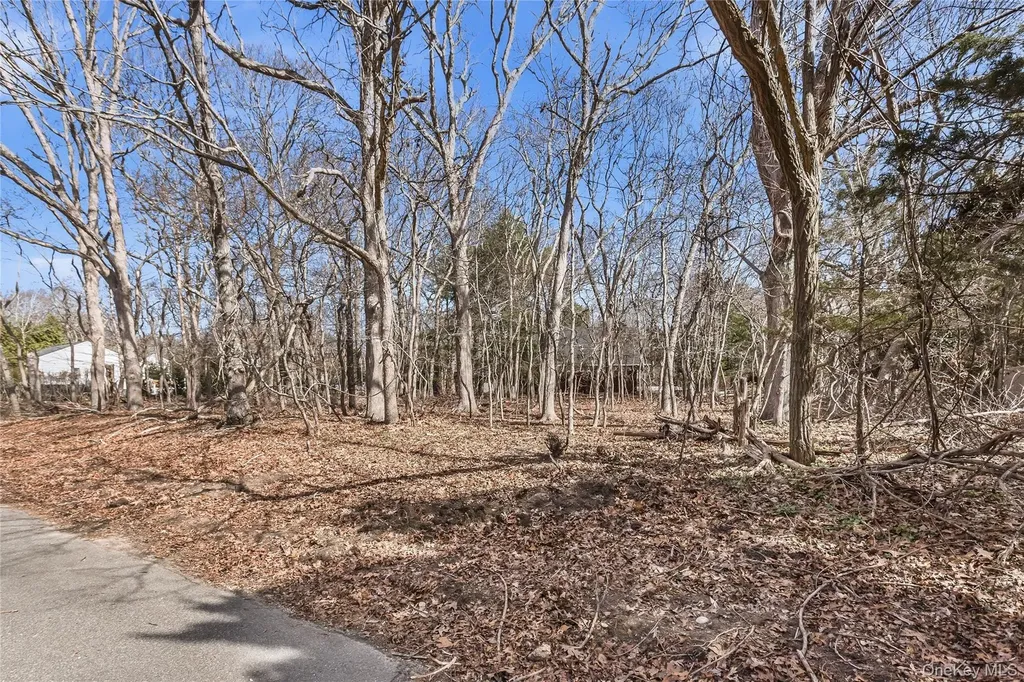73 Manor Lane S East Hampton NY 11937