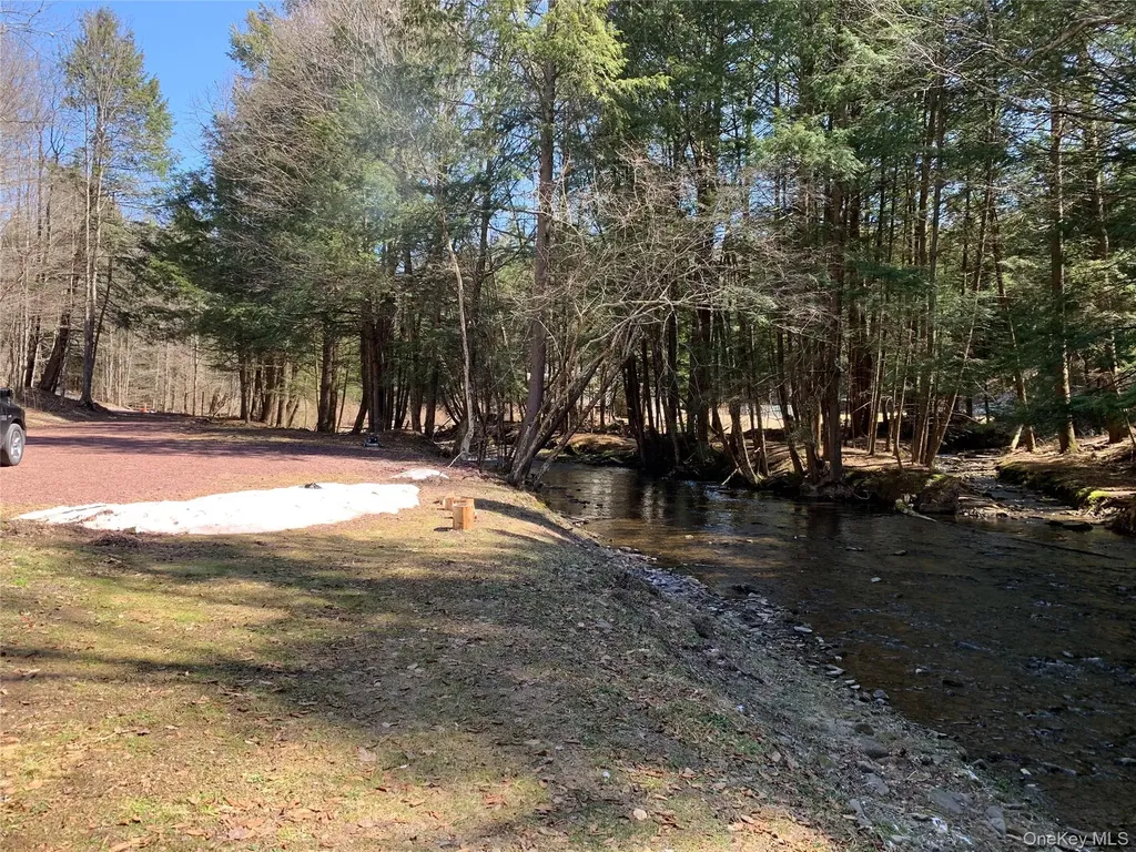 604 Basket Road Long Eddy NY 12760