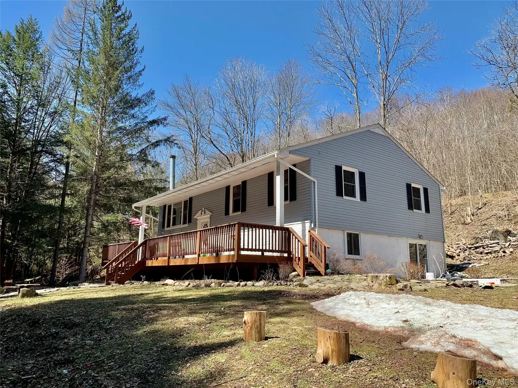 604 Basket Road Long Eddy NY 12760