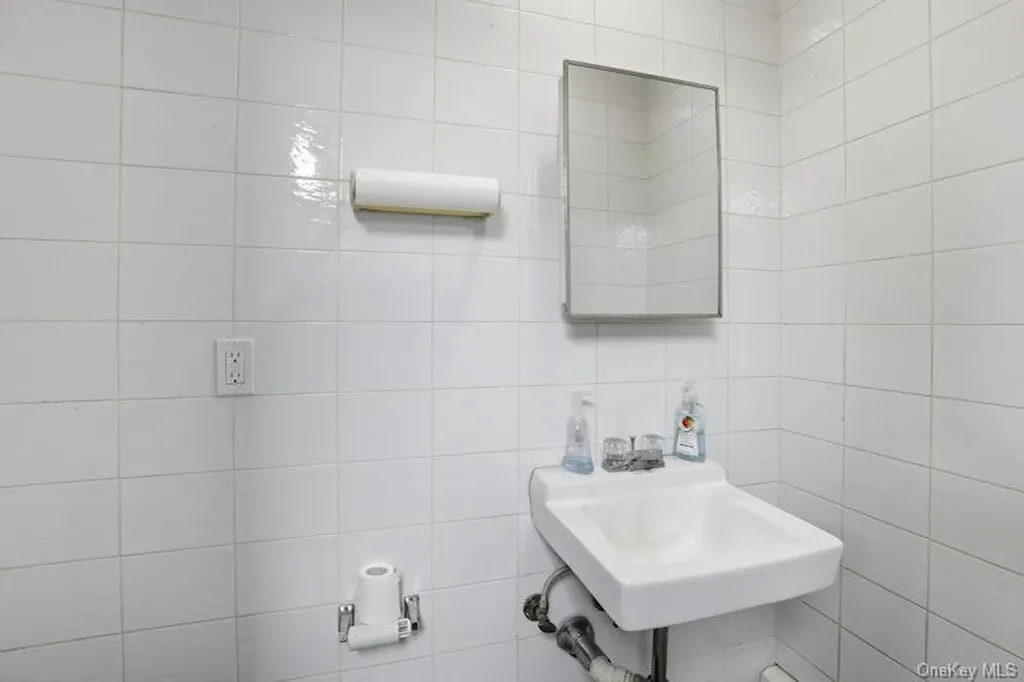 4169 Iris Place Bethpage NY 11714