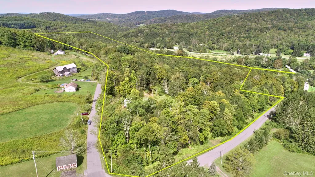 10 W Simmon Callicoon NY 12736