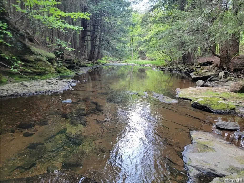 172 Eagles Ridge Way Parksville NY 12768