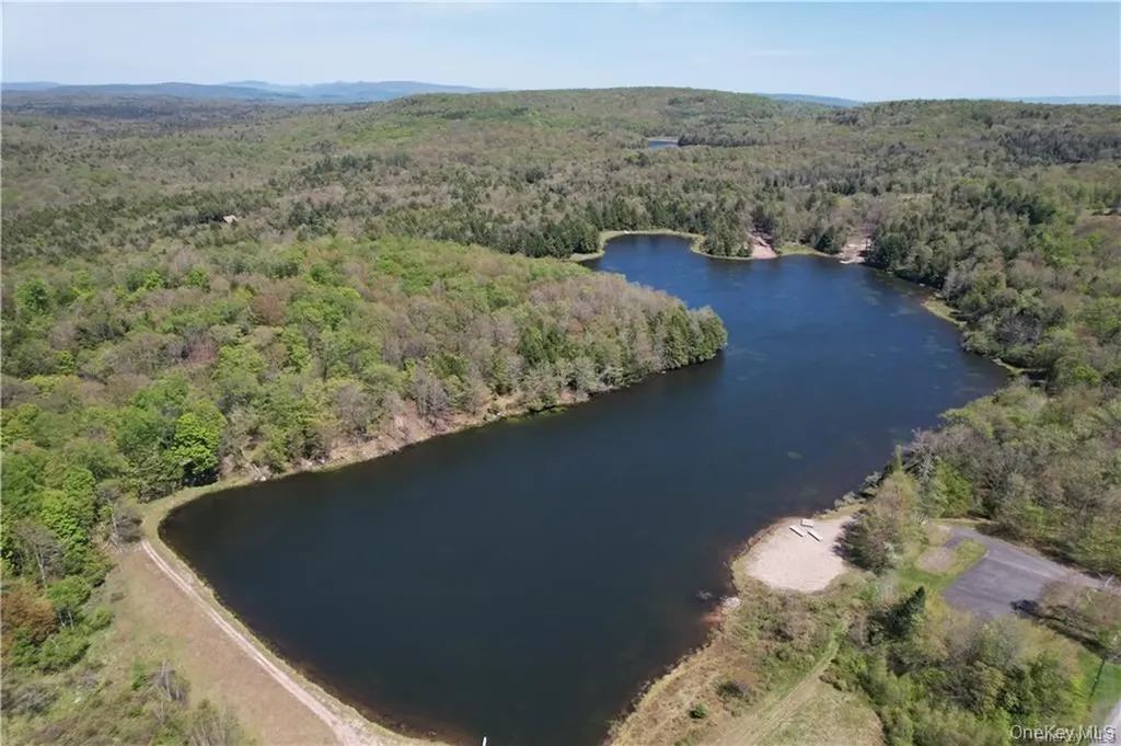 172 Eagles Ridge Way Parksville NY 12768