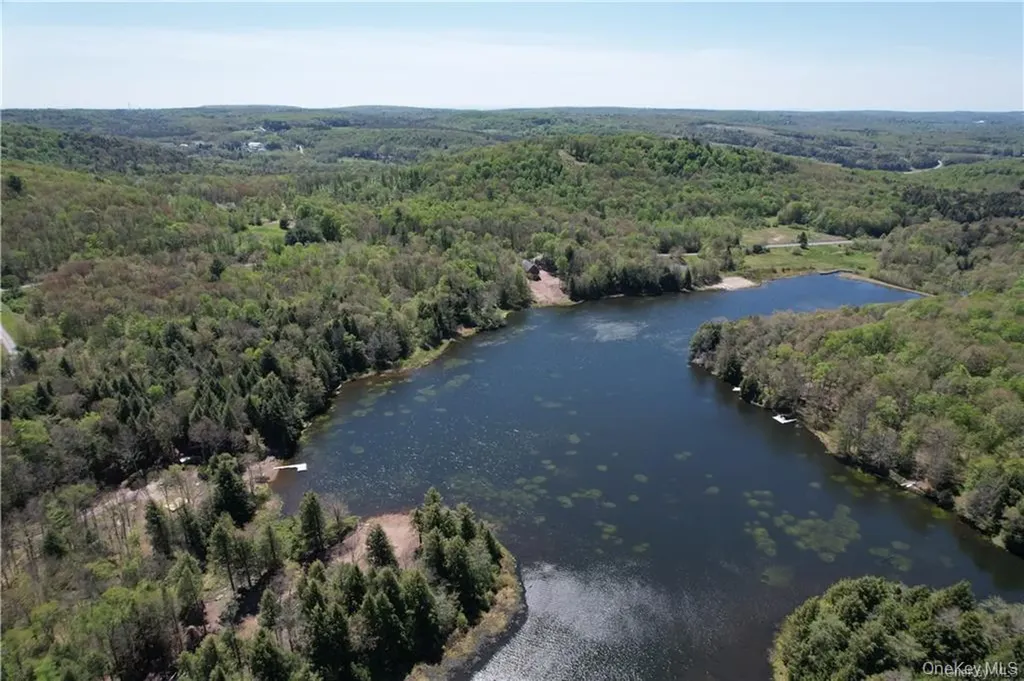 172 Eagles Ridge Way Parksville NY 12768