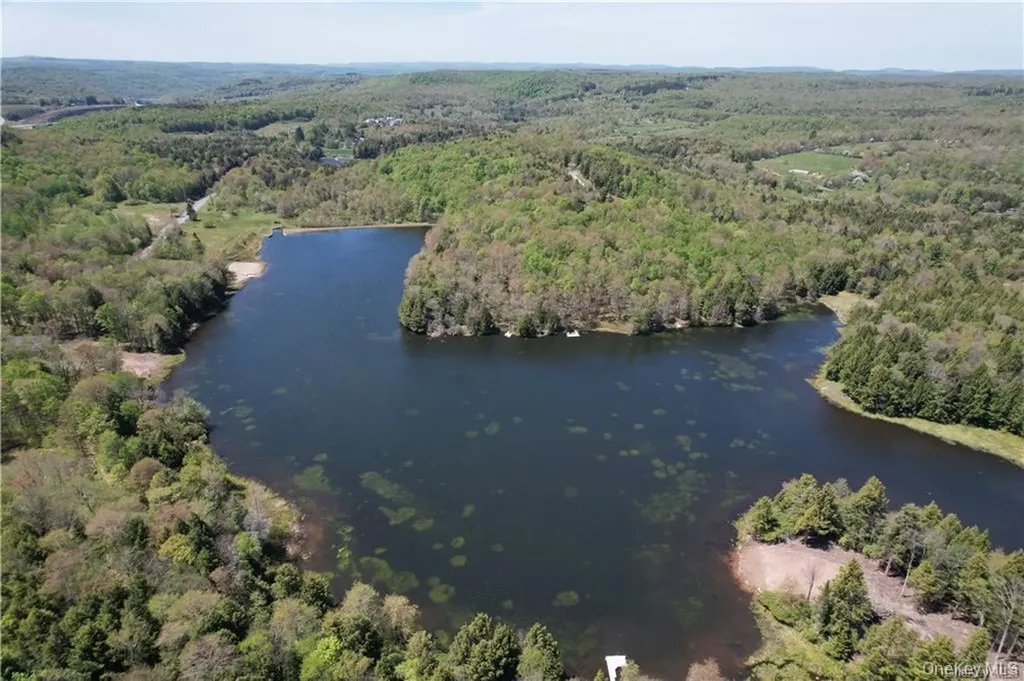 172 Eagles Ridge Way Parksville NY 12768