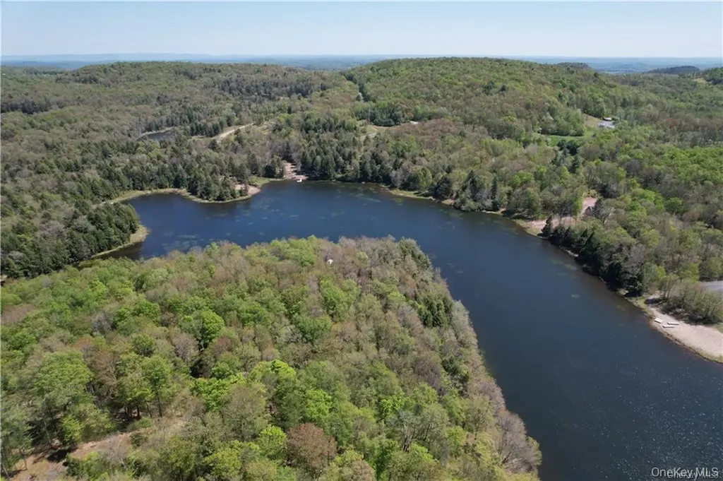 172 Eagles Ridge Way Parksville NY 12768