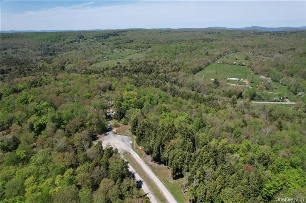 172 Eagles Ridge Way Parksville NY 12768