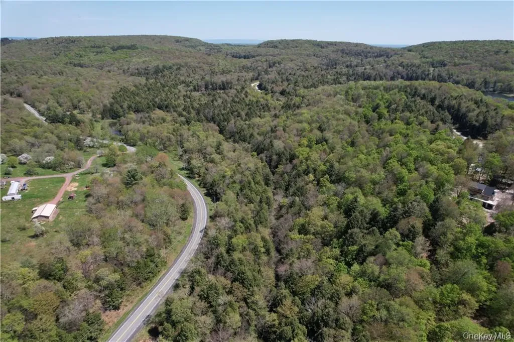 172 Eagles Ridge Way Parksville NY 12768