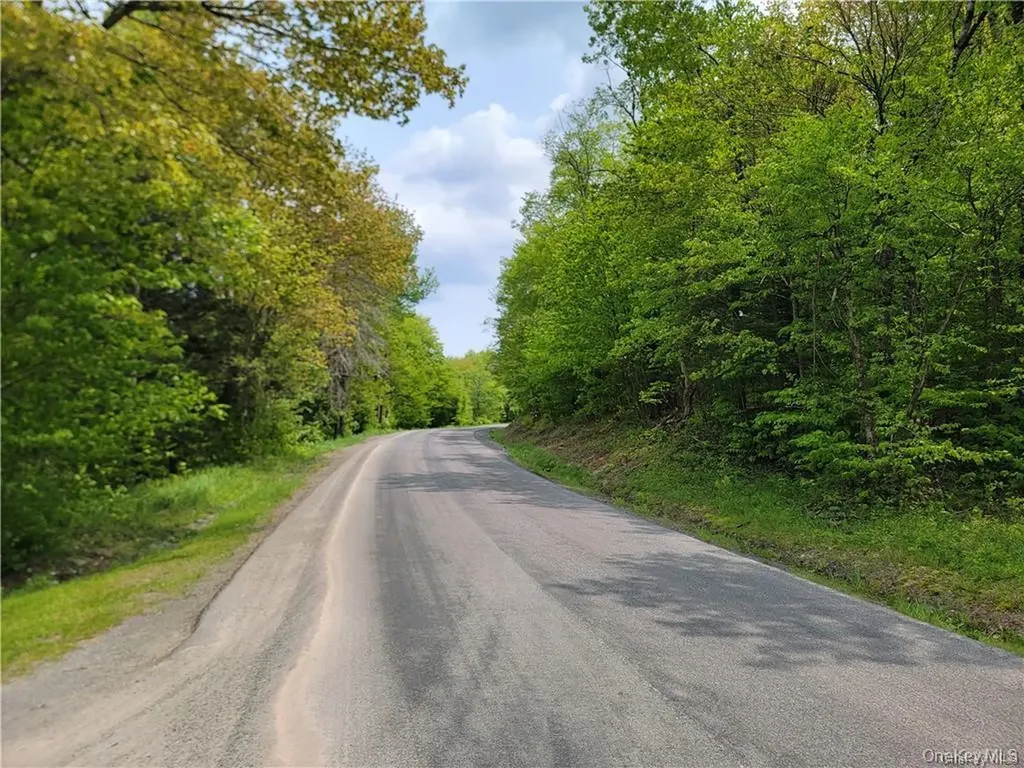 172 Eagles Ridge Way Parksville NY 12768