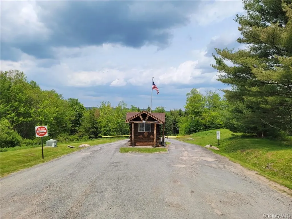 172 Eagles Ridge Way Parksville NY 12768