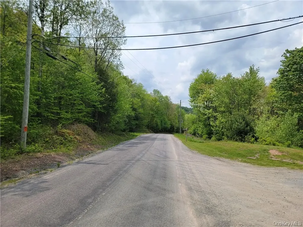 172 Eagles Ridge Way Parksville NY 12768