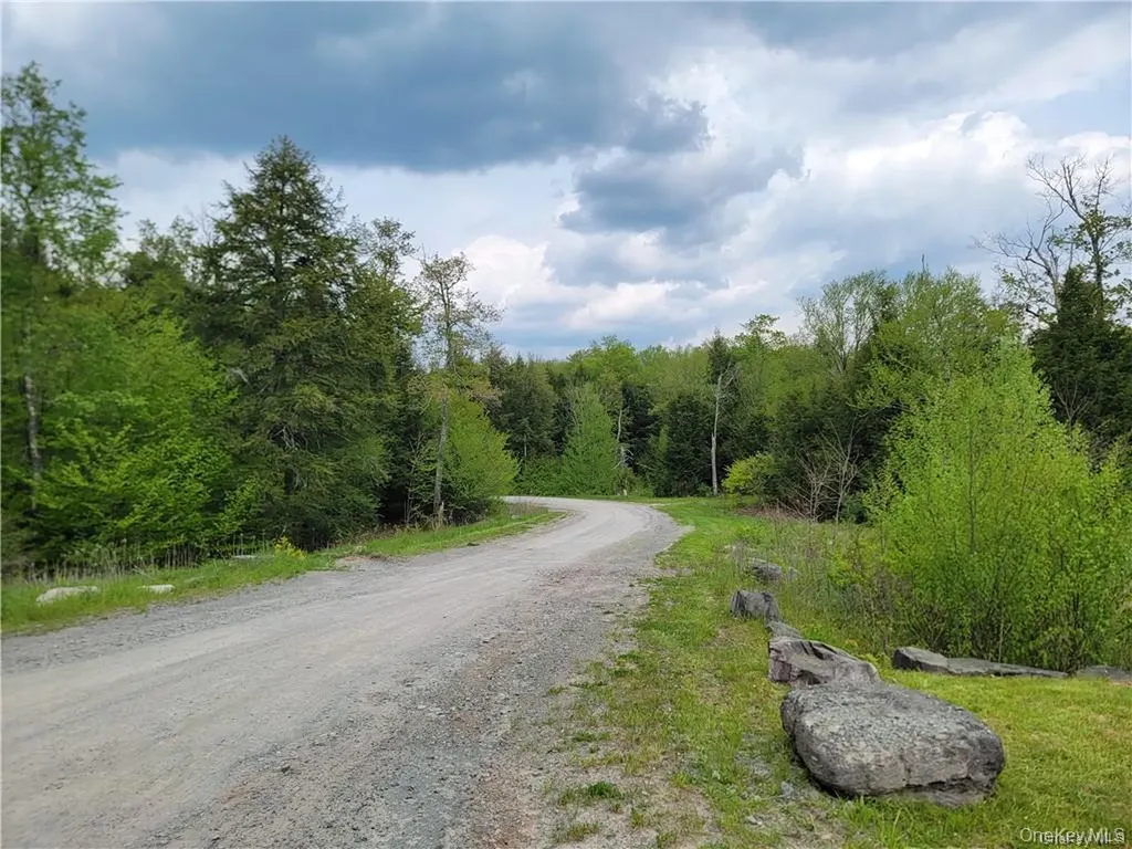 172 Eagles Ridge Way Parksville NY 12768