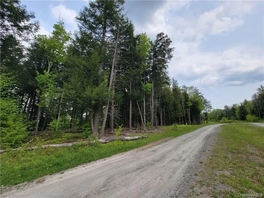 172 Eagles Ridge Way Parksville NY 12768