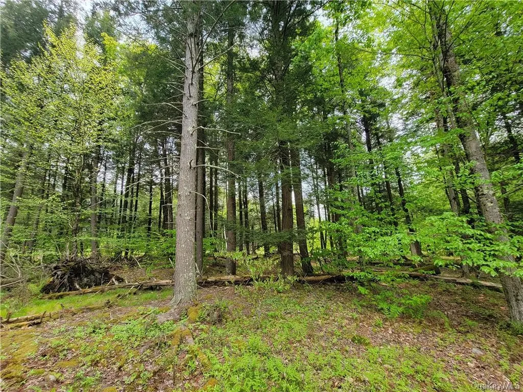 172 Eagles Ridge Way Parksville NY 12768