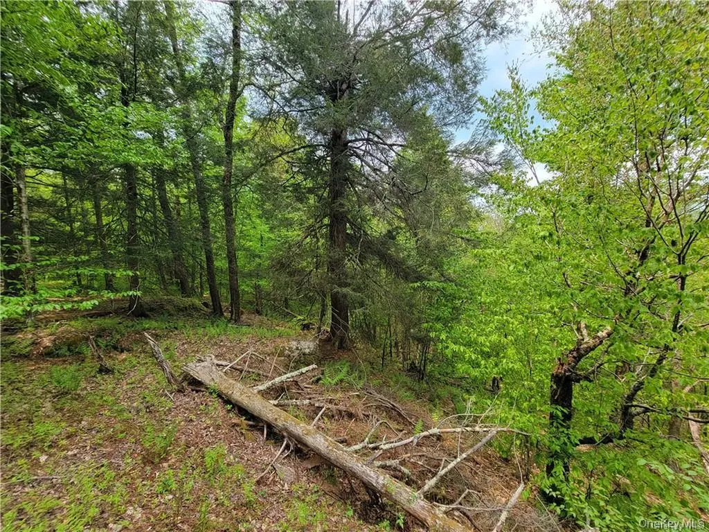 172 Eagles Ridge Way Parksville NY 12768