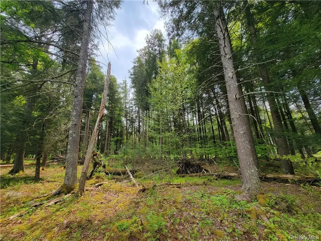 172 Eagles Ridge Way Parksville NY 12768